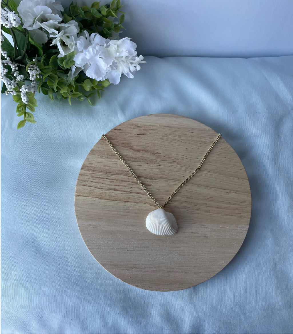 Seashell Necklace