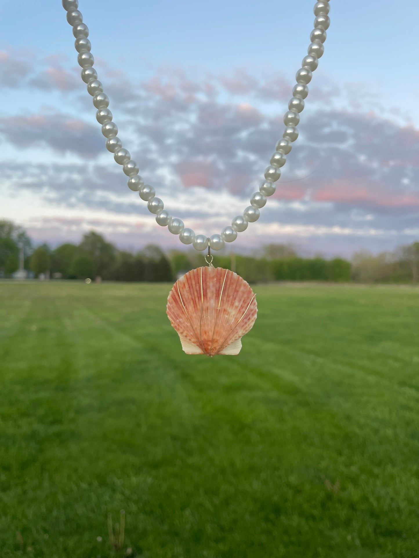 Statement Seashell Necklace