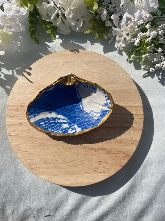 Ocean Findings Shell