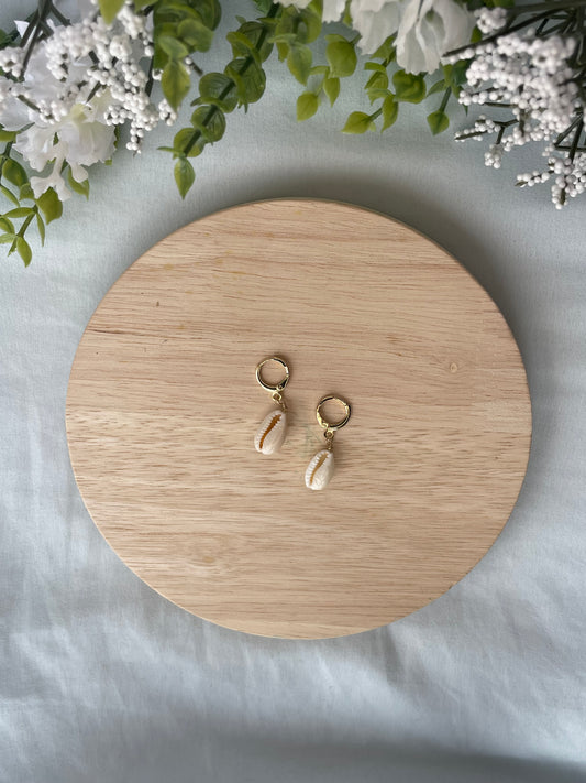Cowrie Seashell Huggies