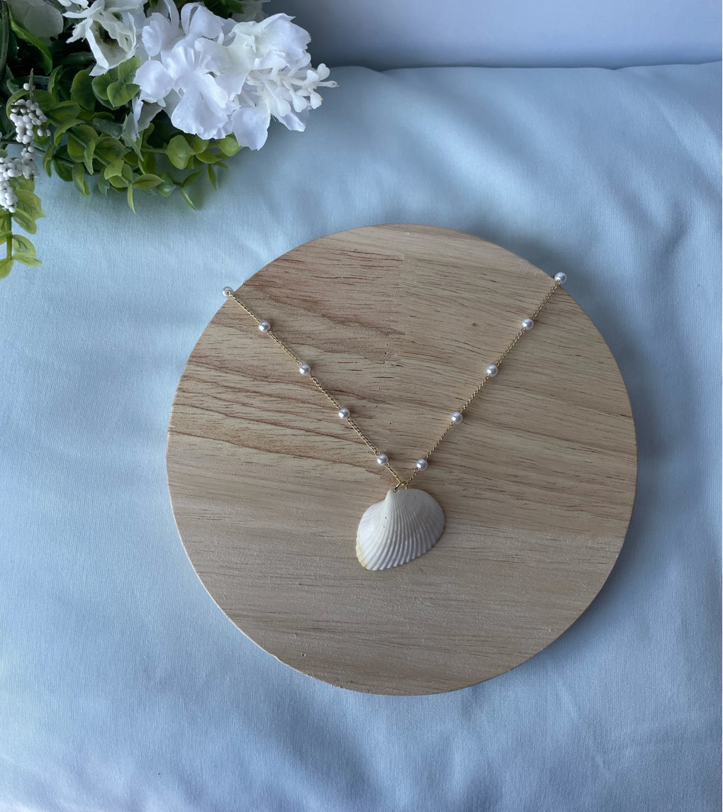Transver Ark Shell Necklace