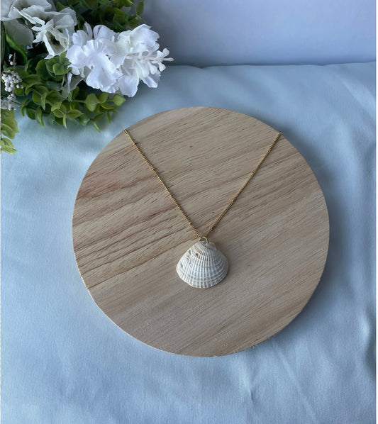 Seashell Necklace