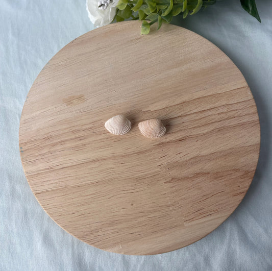 Seashell Studs