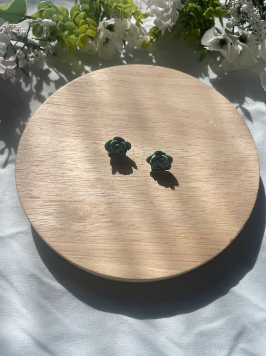 Succulent Studs