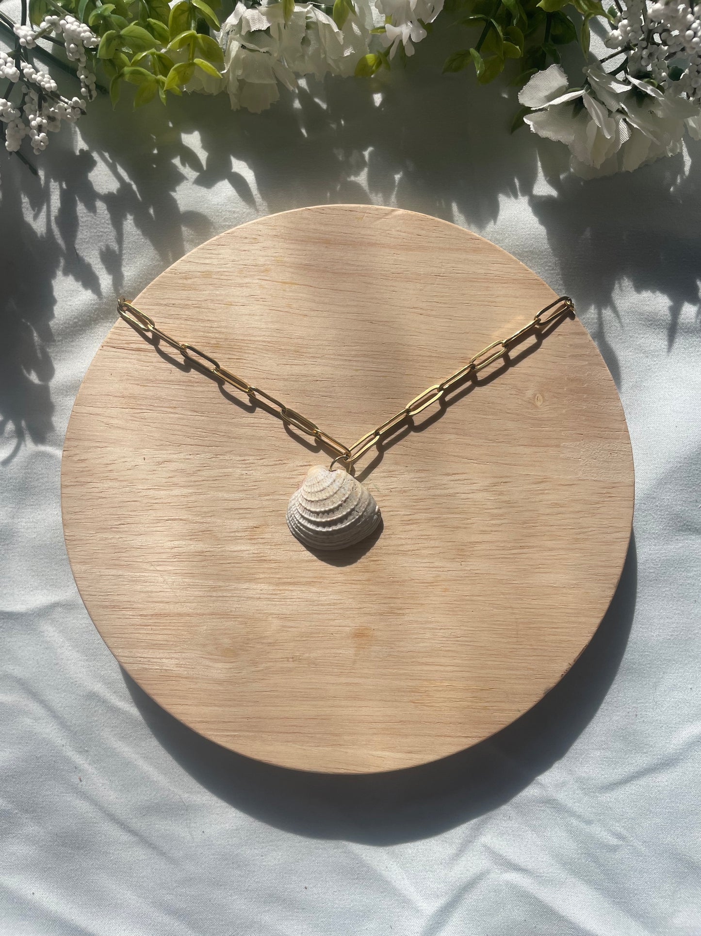 Cross Barred Venus Shell Necklace