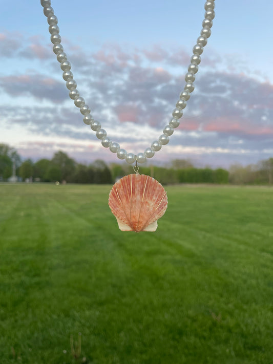 Statement Seashell Necklace
