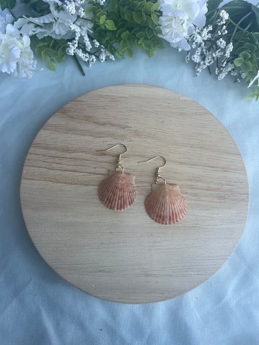 Gold Seashell Dangles