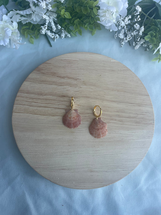 Gold Seashell Hoops