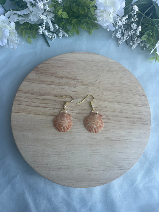 Mixed Metal Seashell Dangles