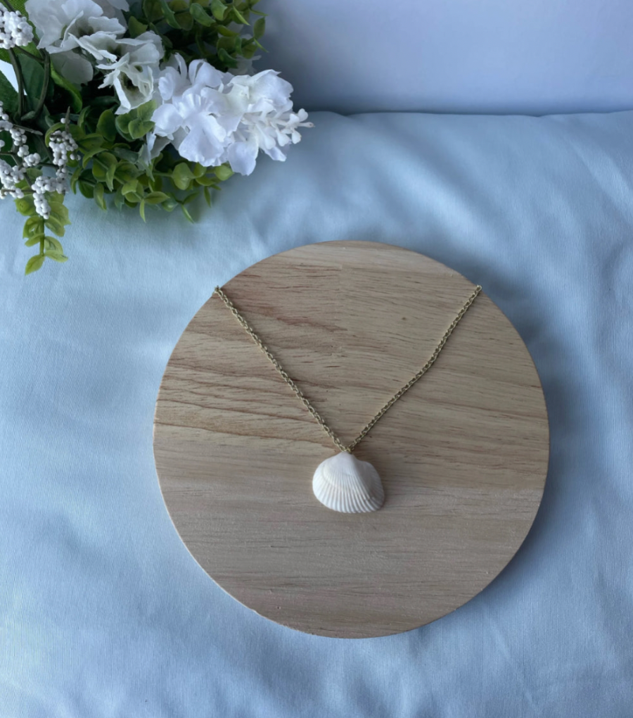 Transver Ark Shell Necklace