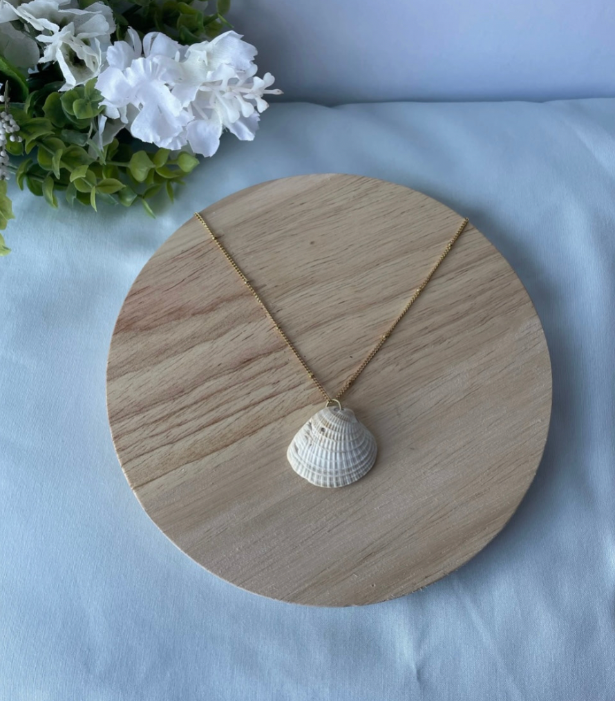Cross Barred Venus Shell Necklace